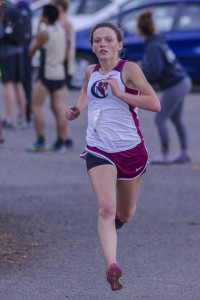Athlete prepares for pole vault on a track with others watching.