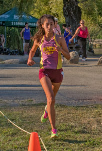 Athlete prepares for pole vault on a track with others watching.