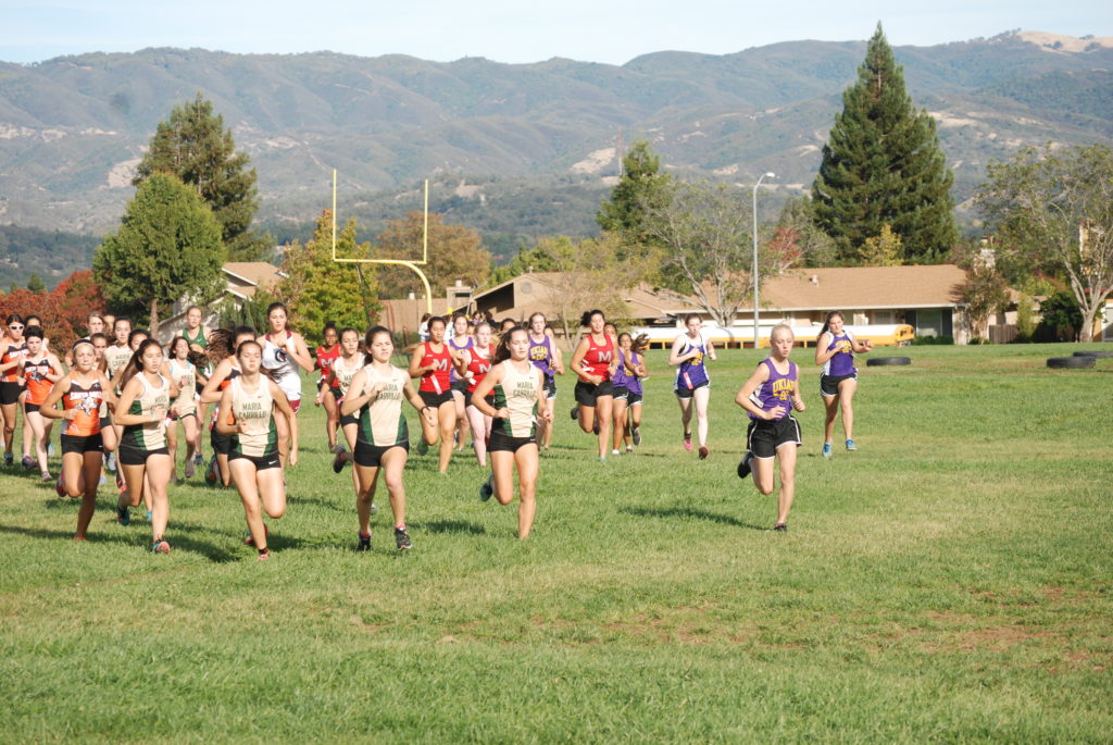 Athlete prepares for pole vault on a track with others watching.