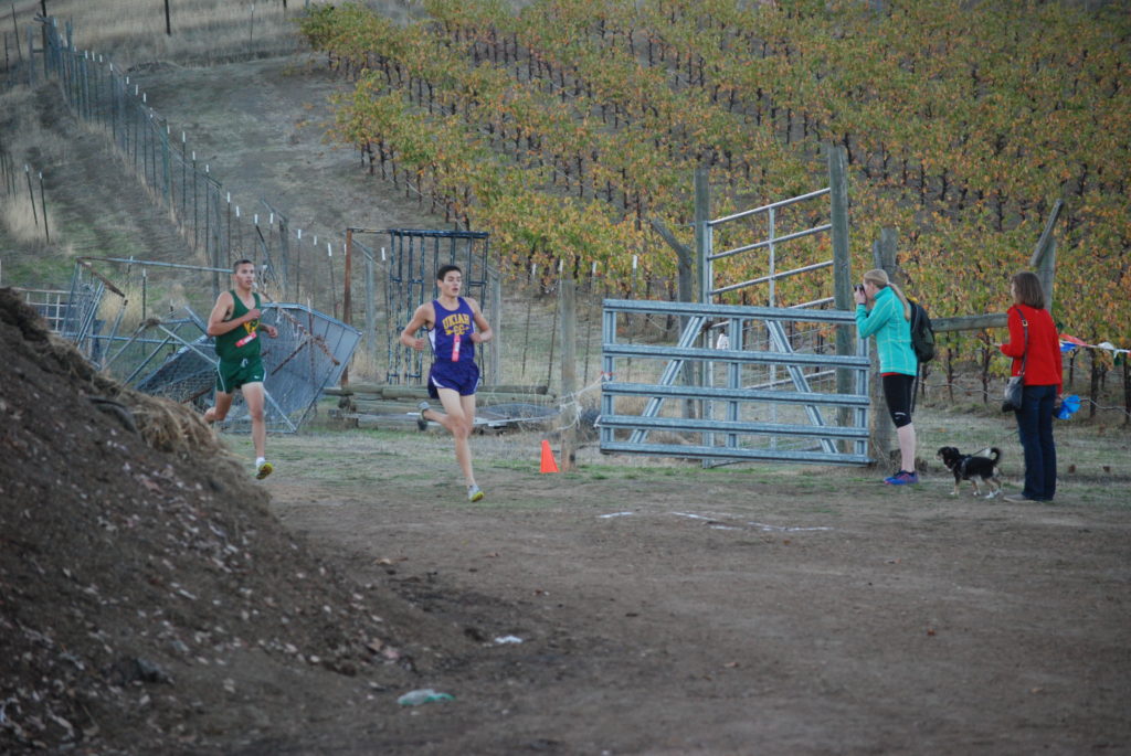 Athlete prepares for pole vault on a track with others watching.