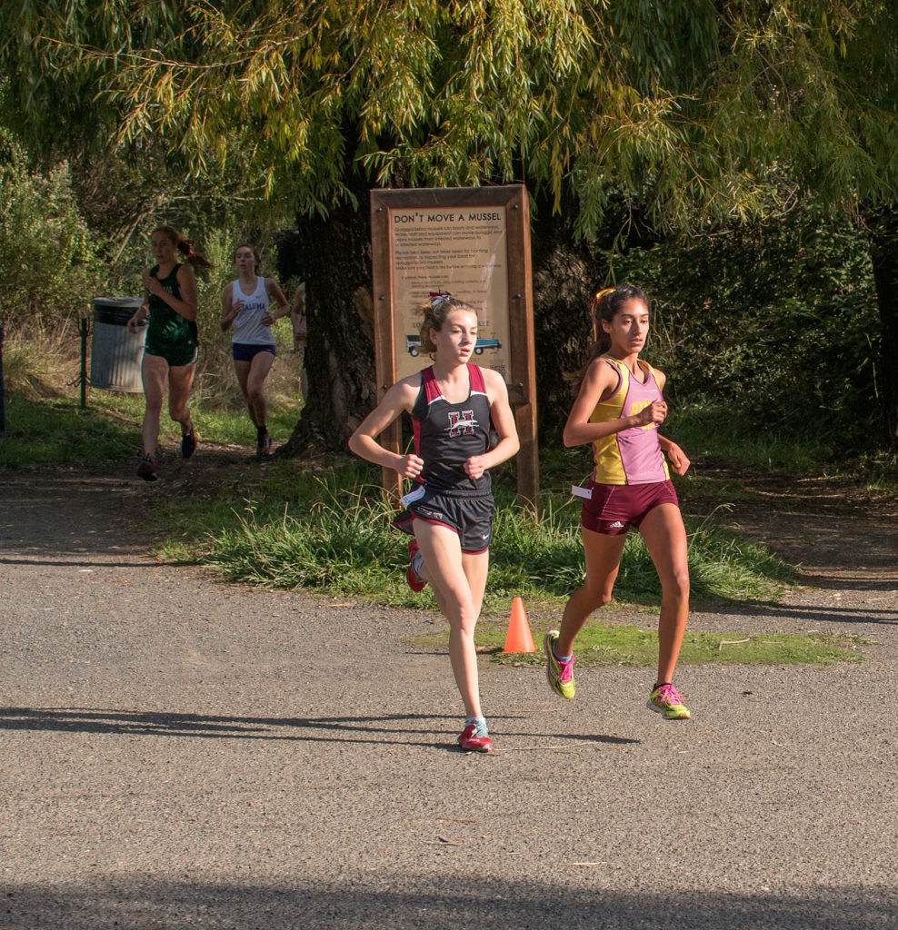 Athlete prepares for pole vault on a track with others watching.