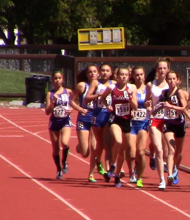Athlete prepares for pole vault on a track with others watching.