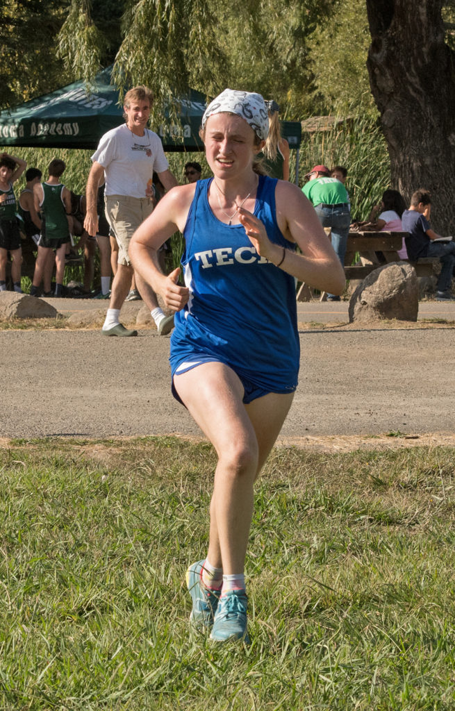Athlete prepares for pole vault on a track with others watching.