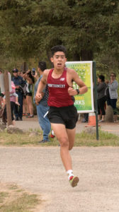 Athlete prepares for pole vault on a track with others watching.