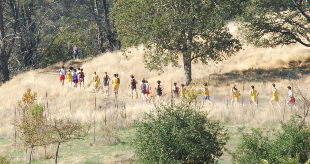 Athlete prepares for pole vault on a track with others watching.