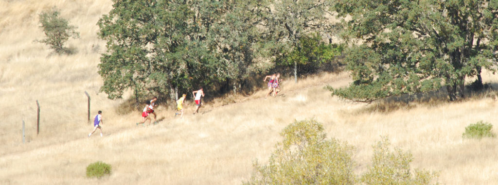 Athlete prepares for pole vault on a track with others watching.