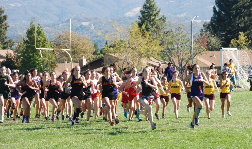 Athlete prepares for pole vault on a track with others watching.