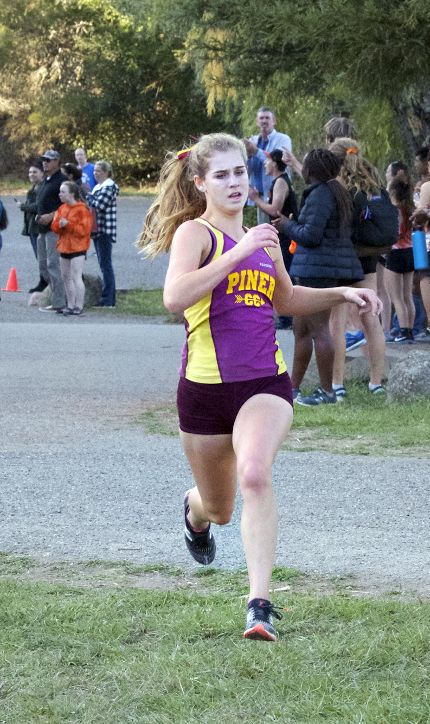 Athlete prepares for pole vault on a track with others watching.