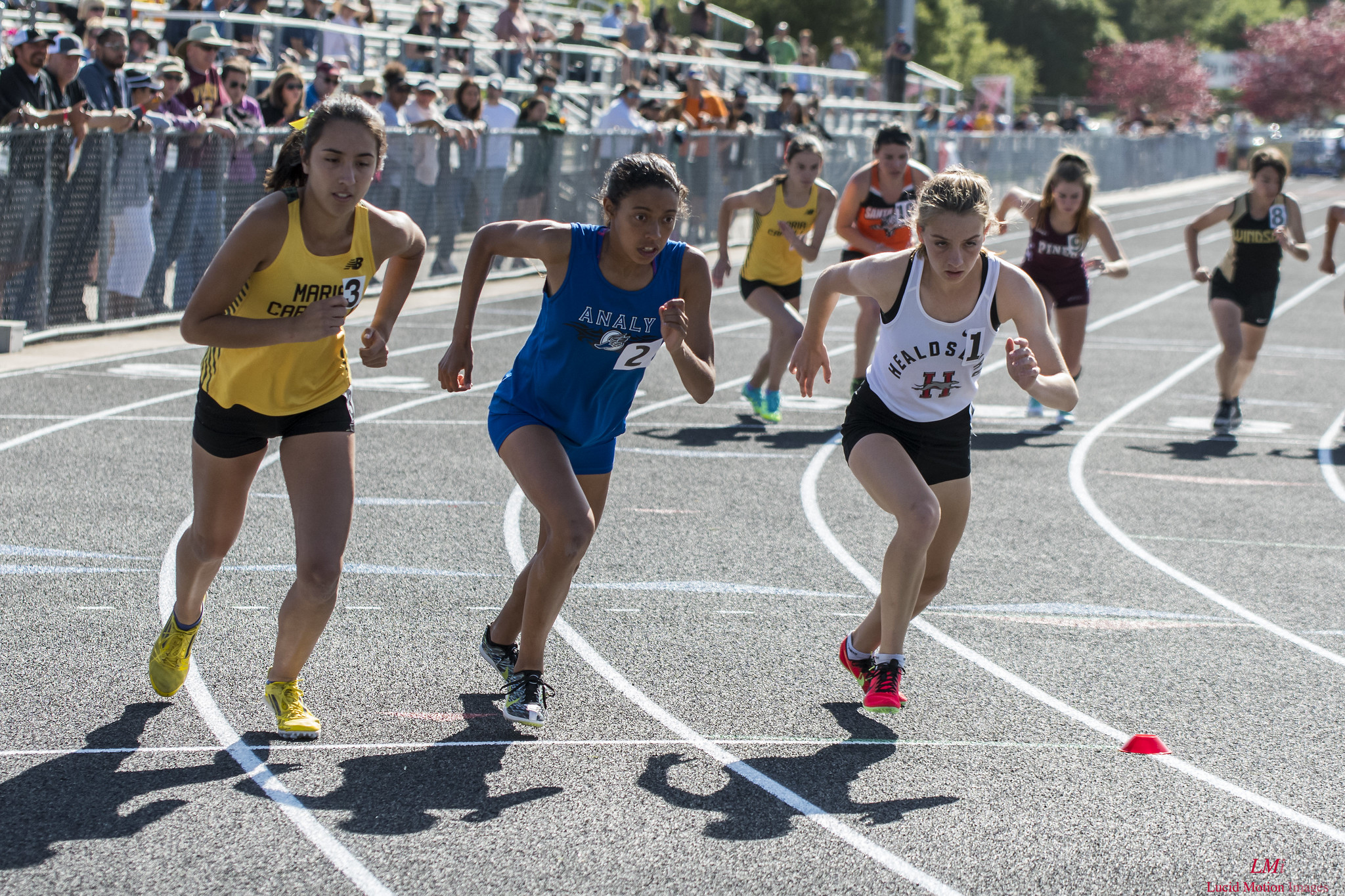 Athlete prepares for pole vault on a track with others watching.