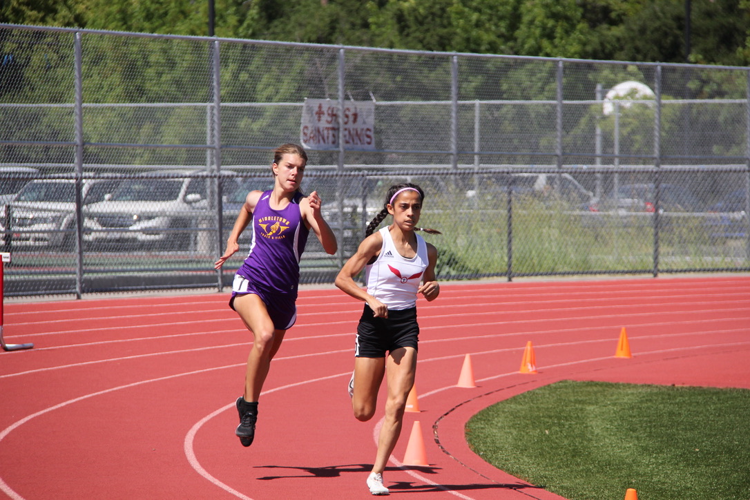Athlete prepares for pole vault on a track with others watching.