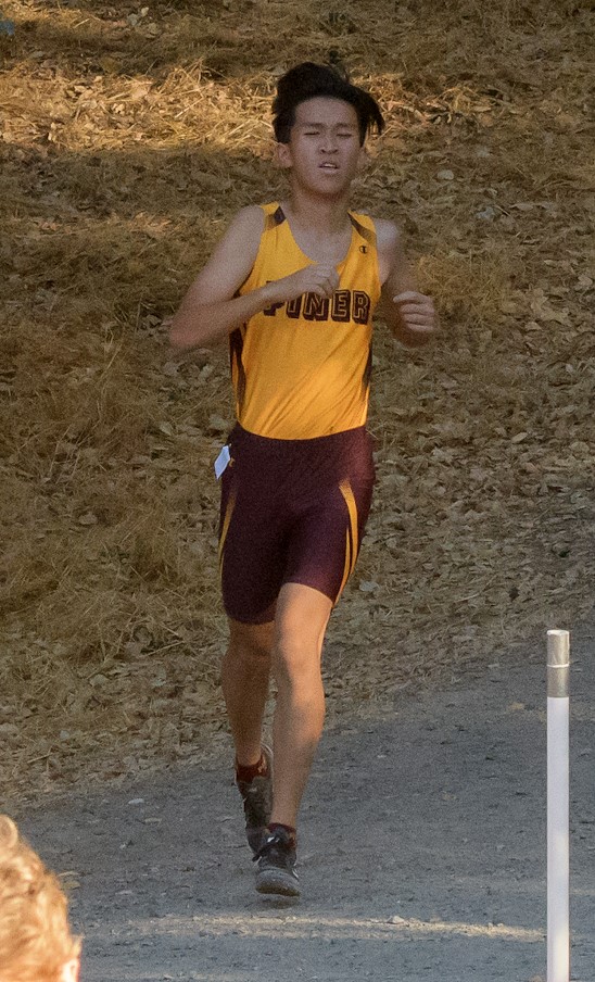 Athlete prepares for pole vault on a track with others watching.