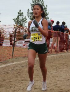 Athlete prepares for pole vault on a track with others watching.