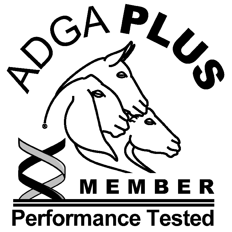 Logo for ADGA Plus Member, performance tested dairy goats.